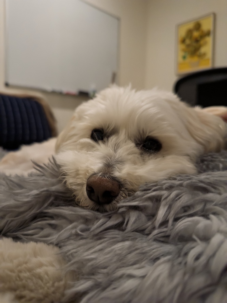 Portrait of treasurer